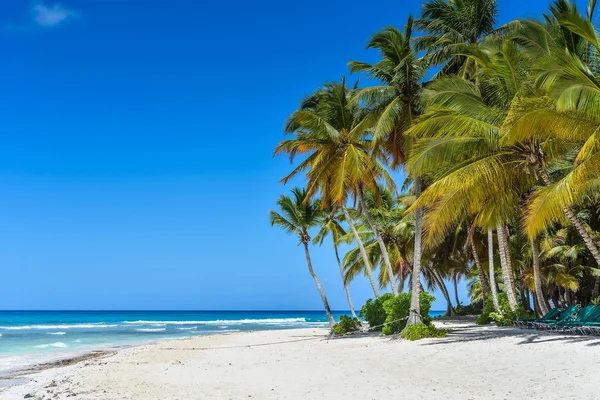 Playa de arena caribeña con palmeras de coco y mar azul — Foto de Stock