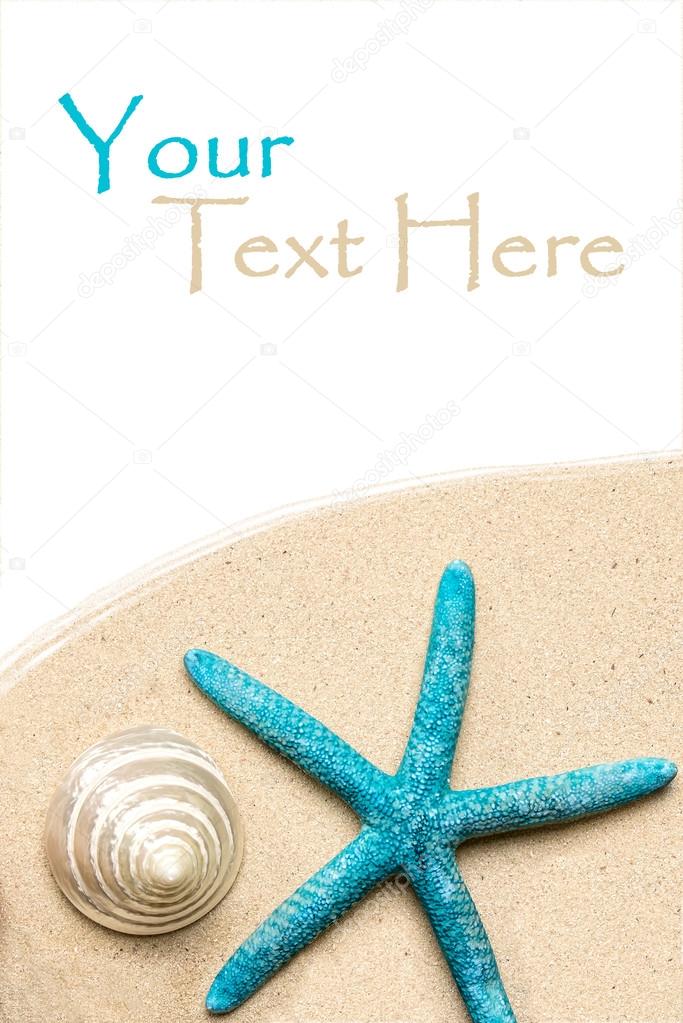 Sea shells on sand. Summer beach background. Top view