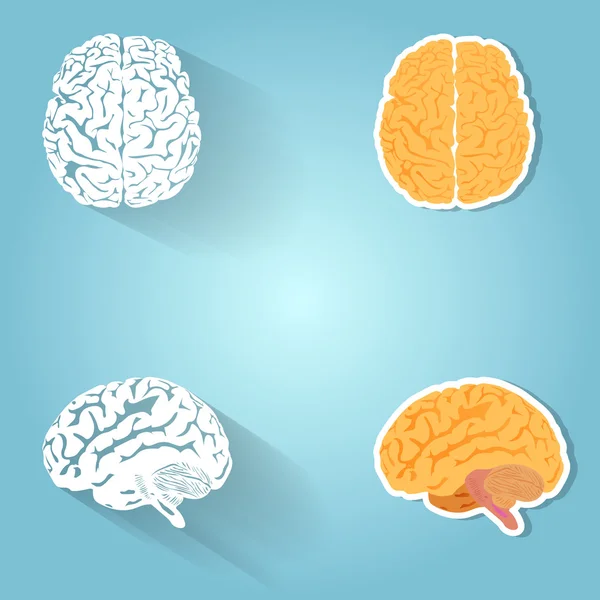 Ensemble du cerveau humain, des éléments de conception et des icônes — Image vectorielle