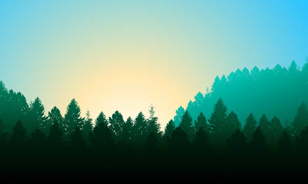 Bosque matinal. Fondo con pinos, cielo y sol — Vector de stock