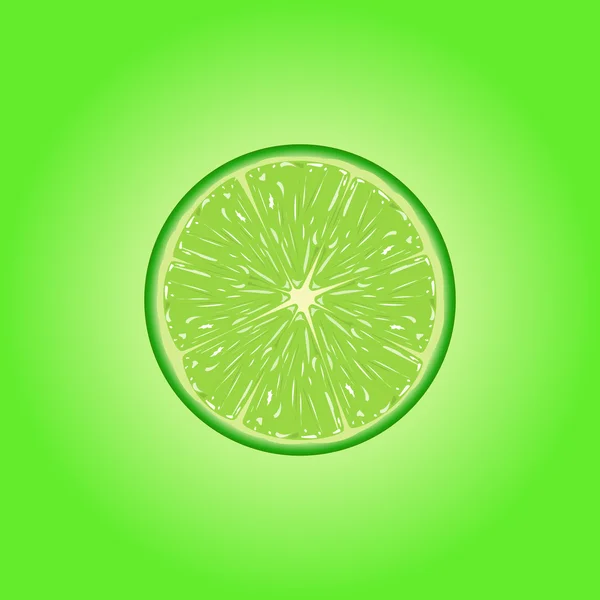 Illustration vectorielle de la tranche de lime . — Image vectorielle