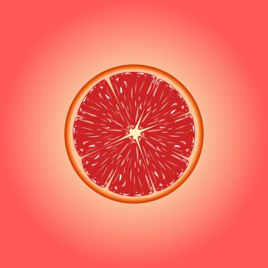 Vektör greyfurt eps 10