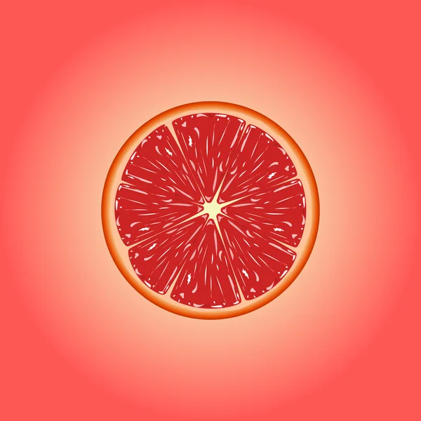 Vector Grapefruit eps 10 — Stock Vector