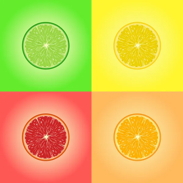 Sammlung von vier Zitrusfrüchten. Zitrone, Limette, Orange, Grapefruit. — Stockvektor