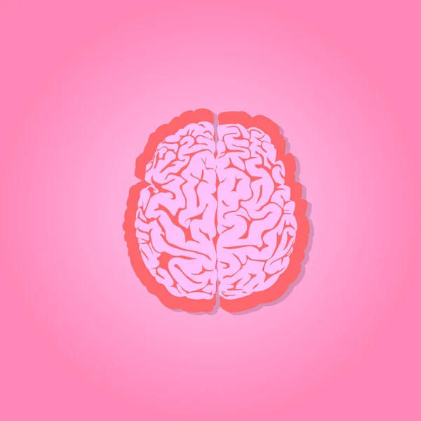 Illustration du cerveau humain — Image vectorielle