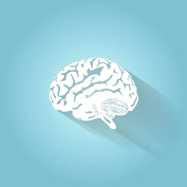 Una ilustración del cerebro humano — Archivo Imágenes Vectoriales