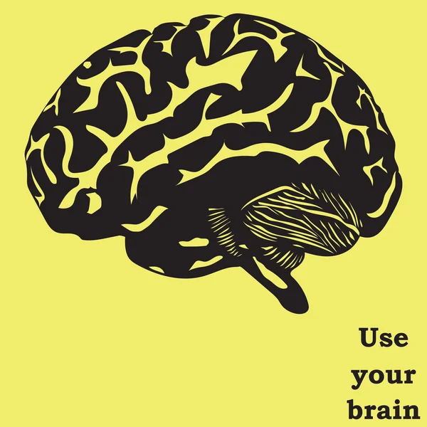 Usa tu cerebro — Archivo Imágenes Vectoriales