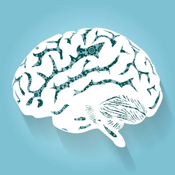 Cerebro humano con cambios. Vector para su diseño . — Archivo Imágenes Vectoriales