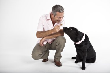 Labrador köpekle oynamayı adam