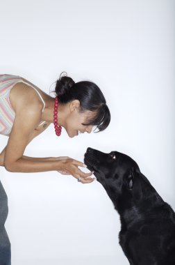 hocalık Labrador köpek kadın