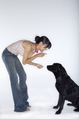 hocalık Labrador köpek kadın