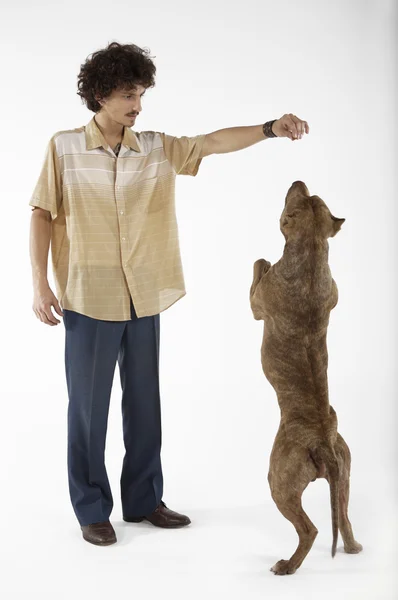 Joven hombre adjudicando perro — Foto de Stock
