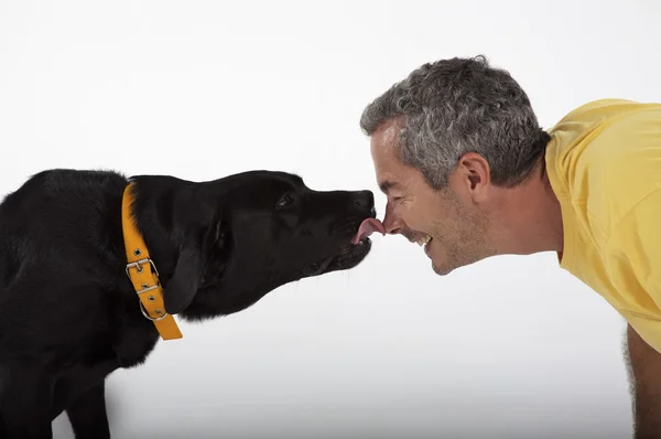 ラブラドール犬と遊ぶ男 — ストック写真