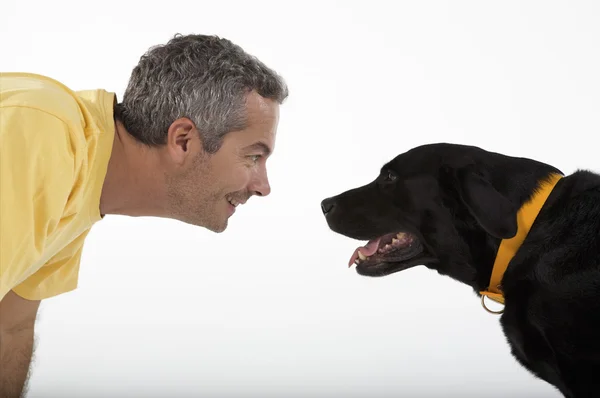 Uomo che gioca con Labrador cane — Foto Stock