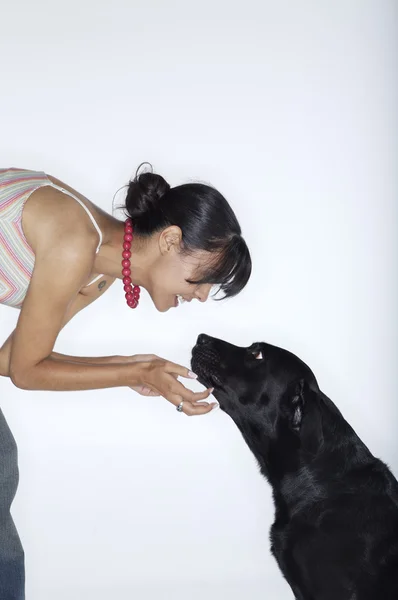 Женщина учит лабрадорскую собаку — стоковое фото