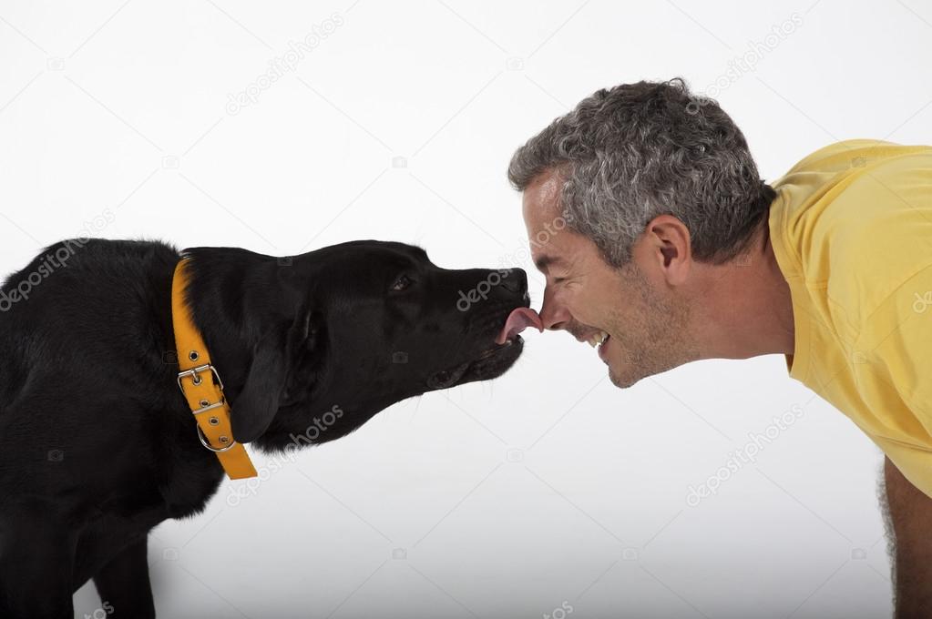 man playing with Labrador dog