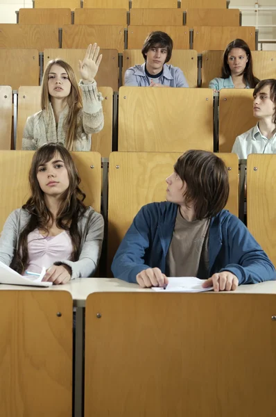 Grupo de estudiantes que estudian — Foto de Stock