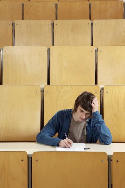 Estudiante estudiando en el escritorio — Foto de Stock
