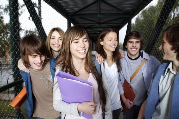 Teenage students walking together Royalty Free Stock Images