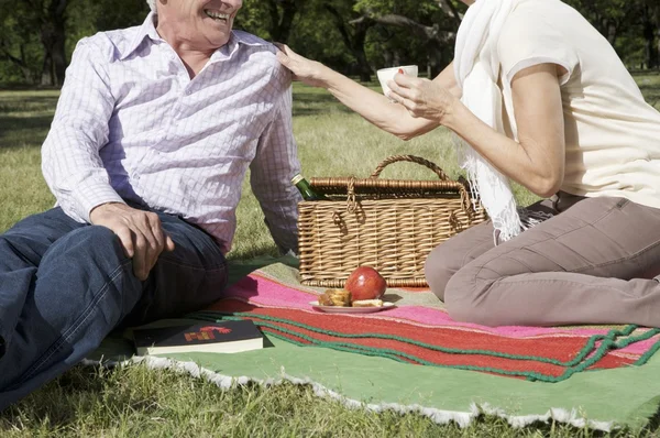 Férfi és nő egy piknik — Stock Fotó