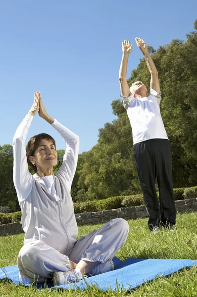 Ein älteres Paar praktiziert Yoga — Stockfoto