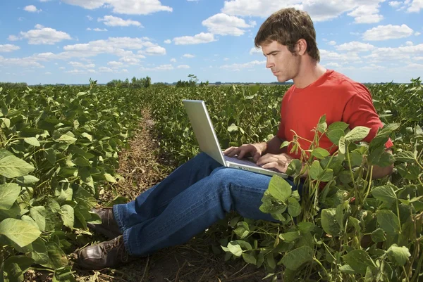 Hombre usando ordenador portátil —  Fotos de Stock