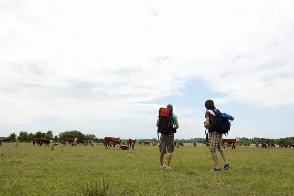 Backpackers w środku pastwiska — Zdjęcie stockowe