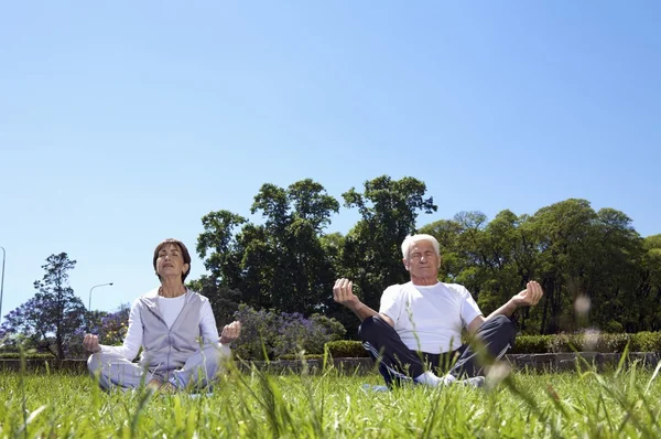 Una pareja de ancianos practicando yoga — Foto de Stock