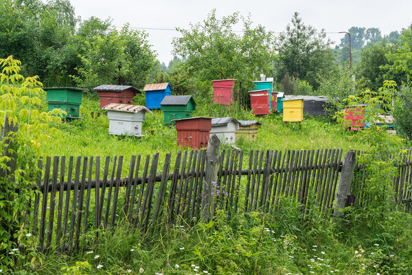 Пасека с красивыми домами
