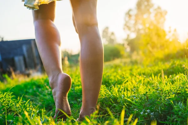 Женские ноги босиком ходят по траве Стоковое Фото