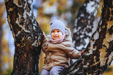 Çocuk bir ağaçta oturuyor