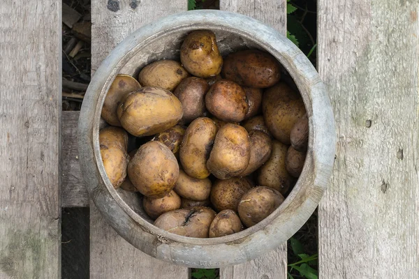 Kruka med kokt potatis — Stockfoto