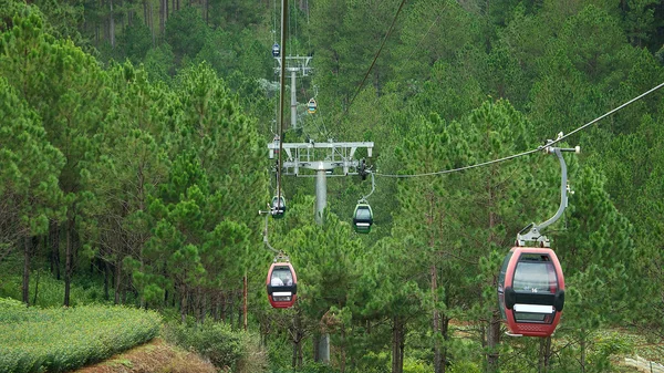 Cableway over the jungle — Stock Photo, Image