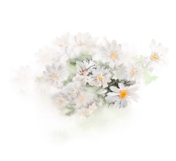 배경 흐리게와 카모마일 꽃다발입니다. 손-그린 수채화 그림 인사말 카드에 대 한 — 스톡 사진