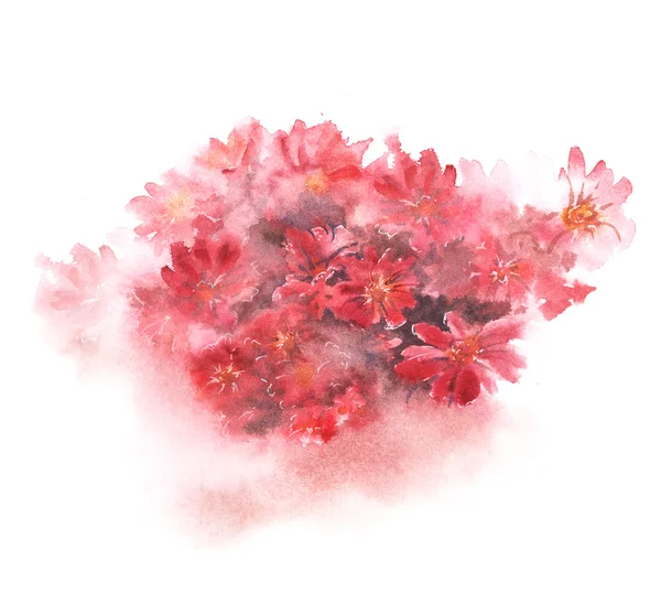 Bulanık renk splash beyaz zemin üzerine kırmızı çiçek buket. El boyaması suluboya resim — Stok fotoğraf