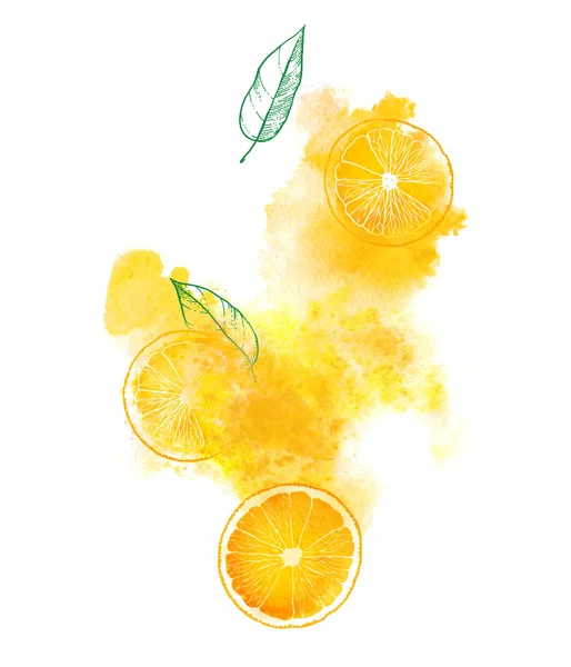 Portakal dilimleri ve beyaz arka plan üzerinde sulu splash. El boyaması suluboya resim — Stok fotoğraf