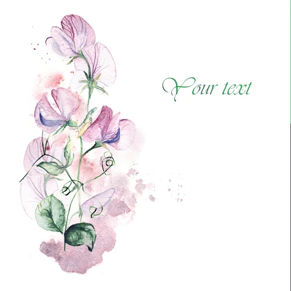 Invitation card with sweet pea and watercolor splash. Floral hand-painted greeting card — Stock Photo, Image