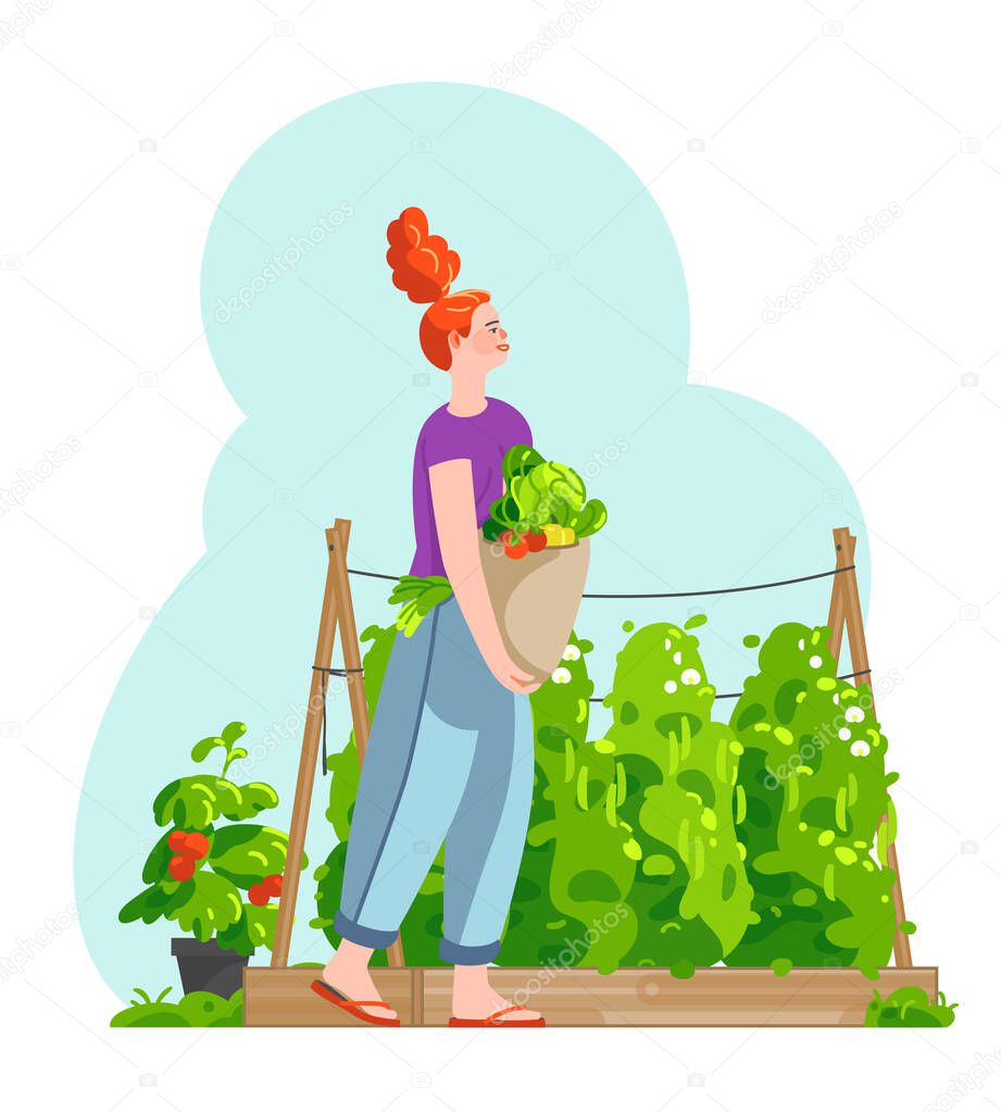 Smiling woman carrying basket full of harvested vegetables in kitchen garden. Wooden raised garden bed with green peas and tomatoes in pot. Concept for gardening or farming. Vector flat illustration