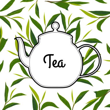 Vintage kartı saf çay çaydanlık. Botanik stil vektör çizim.