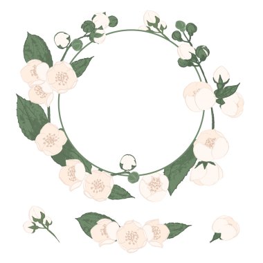 Çelenk, yeşillik ve şube ile Yasemin çiçekleri toplama. Botanik stil vektör çizim.