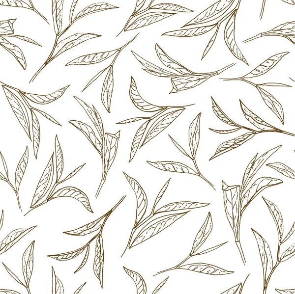 Tea leaves. Botanical style seamless pattern — Stock Illustration Tea leaves. Botanical style seamless pattern Stock Vector