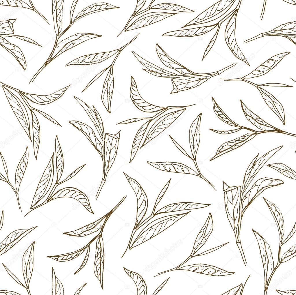 Tea leaves. Botanical style seamless pattern