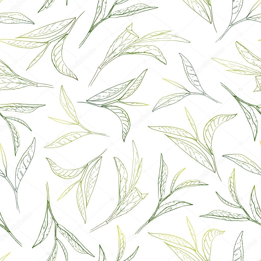 Sunny tea leafs