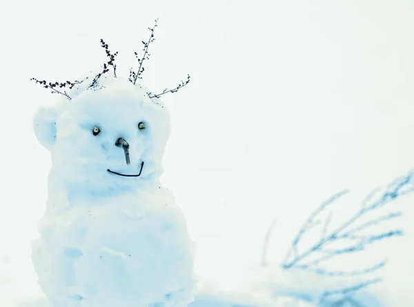 Sneeuwpop Met Droge Twijgen Van Haar Glimlacht Tegen Achtergrond Van — Stockfoto