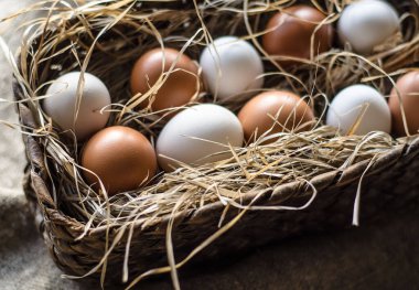 Beyaz ve bej renkli tavuk yumurtaları samandan bir sepetin içinde yatıyor..