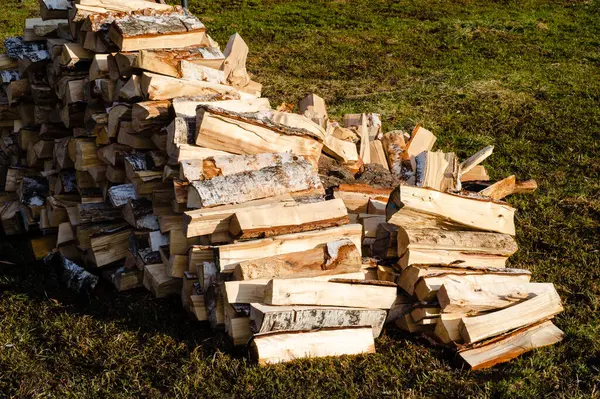 Large Pile Chopped Wood Lies Green Grass Stove Heating Village — Stock Photo, Image