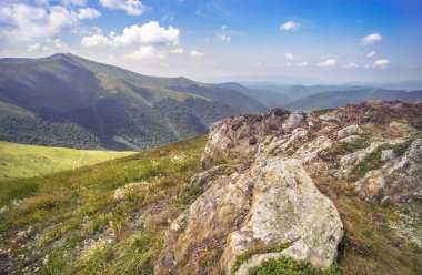 Canlı dağ manzarası