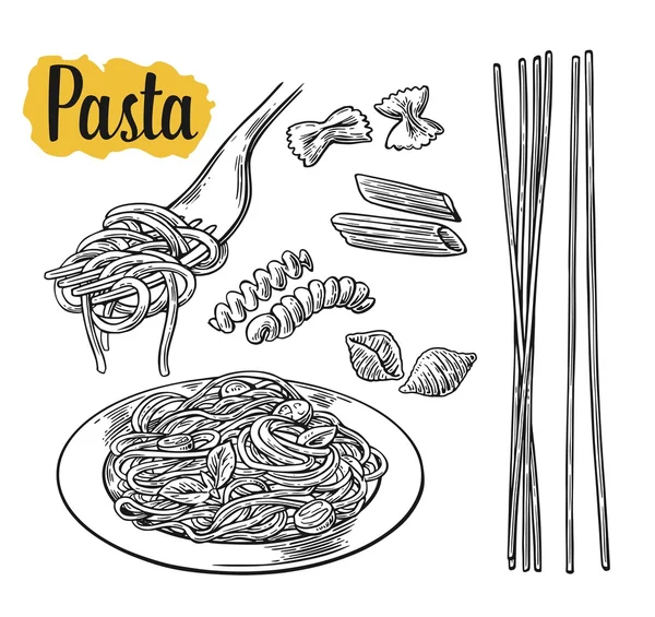 Set pasta - farfalle, conchiglie, penne, fusilli, spaghetti — Stock Vector