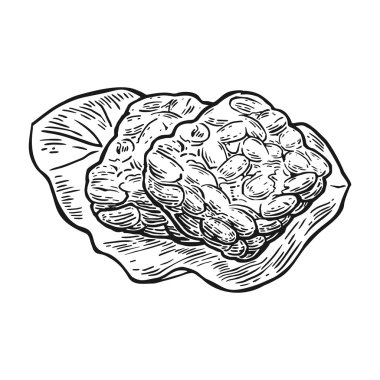 Tempeh. Vektör siyah vintage oyma illüstrasyon beyaz arka plan üzerinde izole.