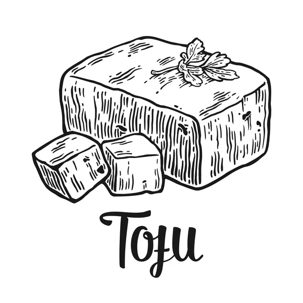 Tofu. Vector zwart vintage gegraveerde illustratie geïsoleerd op witte achtergrond. — Stockvector